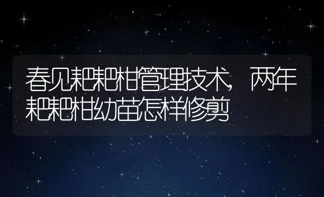 春见耙耙柑管理技术,两年耙耙柑幼苗怎样修剪 | 养殖学堂