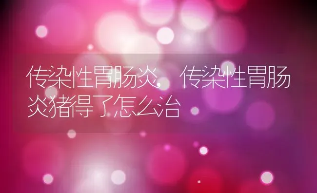 传染性胃肠炎,传染性胃肠炎猪得了怎么治 | 养殖资料