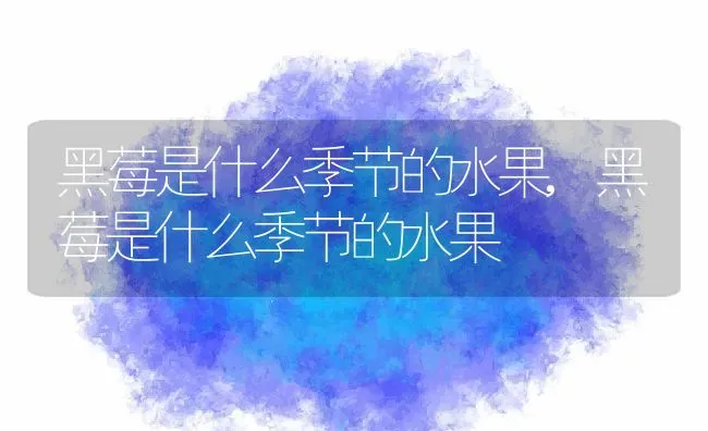 黑莓是什么季节的水果,黑莓是什么季节的水果 | 养殖科普