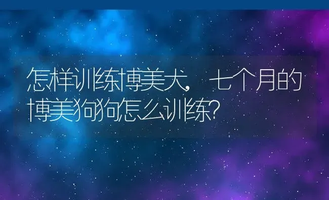 怎样训练博美犬,七个月的博美狗狗怎么训练？ | 养殖学堂