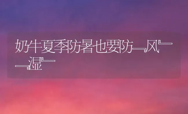 奶牛夏季防暑也要防﹃风﹄﹃湿﹄ | 养殖技术大全