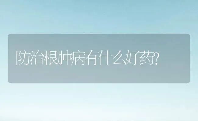 防治根肿病有什么好药? | 养殖知识