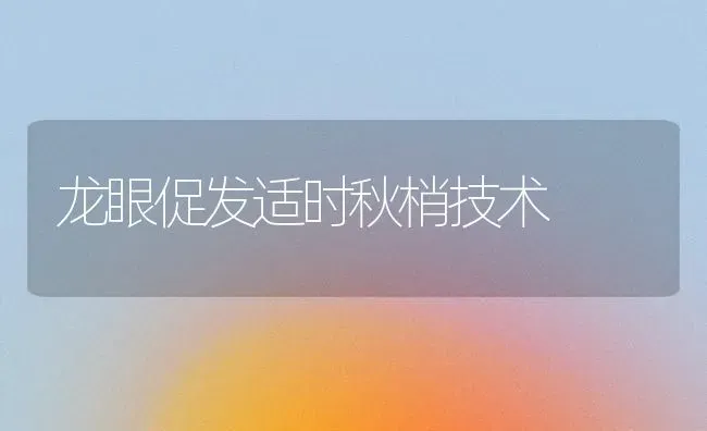 龙眼促发适时秋梢技术 | 养殖技术大全