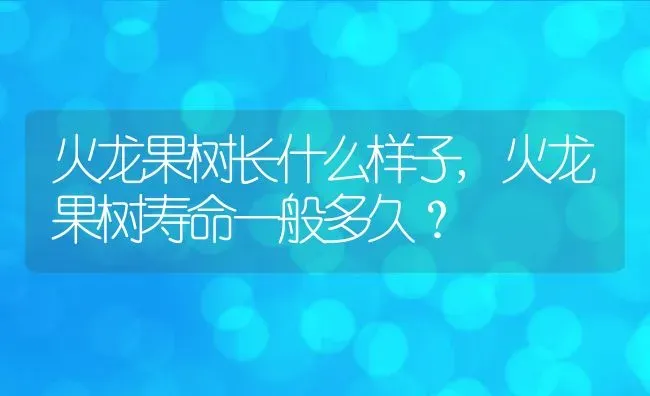 火龙果树长什么样子,火龙果树寿命一般多久？ | 养殖科普