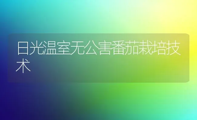 日光温室无公害番茄栽培技术 | 养殖技术大全