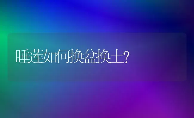 睡莲如何换盆换土? | 养殖知识