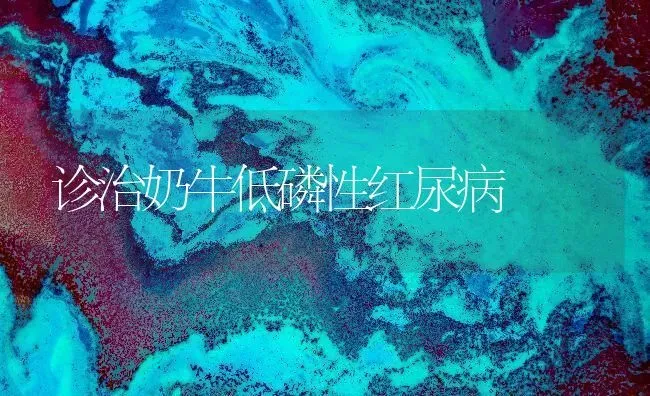 诊治奶牛低磷性红尿病 | 养殖知识