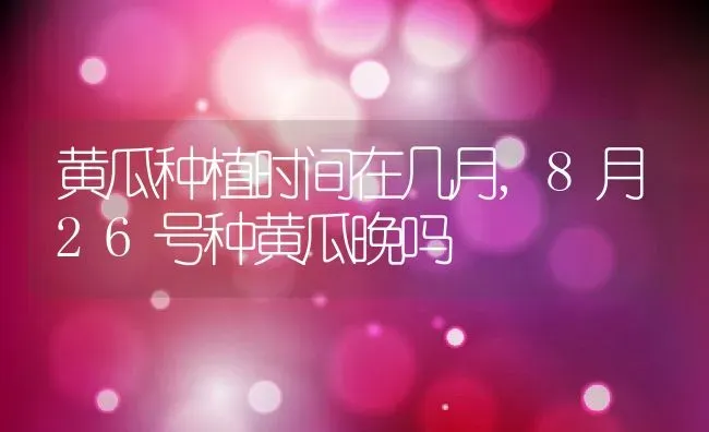 黄瓜种植时间在几月,8月26号种黄瓜晚吗 | 养殖学堂