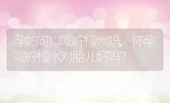 孕妇可以喝柠檬水吗,怀孕喝柠檬水对胎儿好吗？ | 养殖科普