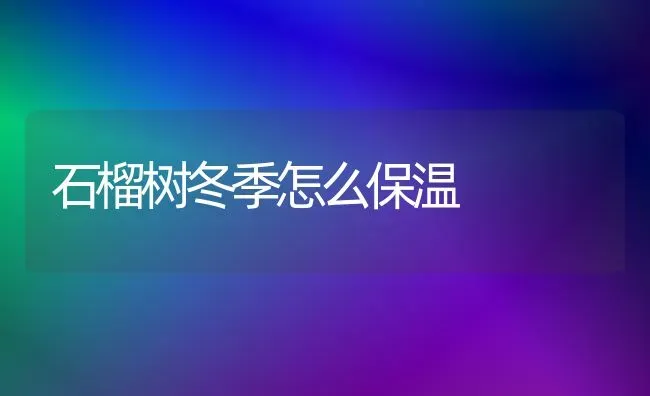 石榴树冬季怎么保温 | 养殖技术大全