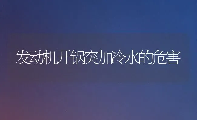 发动机开锅突加冷水的危害 | 养殖知识