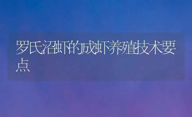 罗氏沼虾的成虾养殖技术要点 | 养殖技术大全