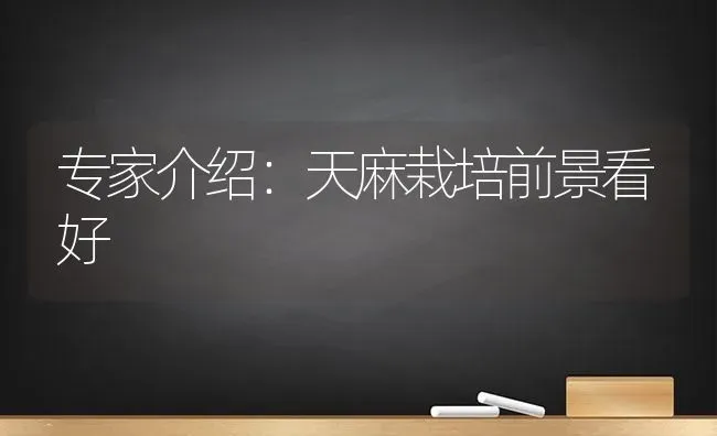 专家介绍：天麻栽培前景看好 | 养殖技术大全