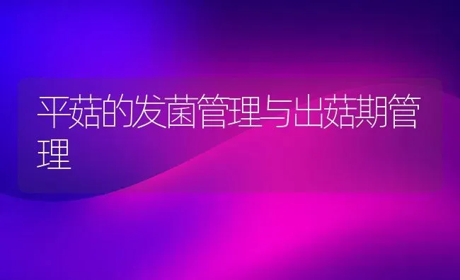 鹌鹑快速育肥法 | 养殖技术大全