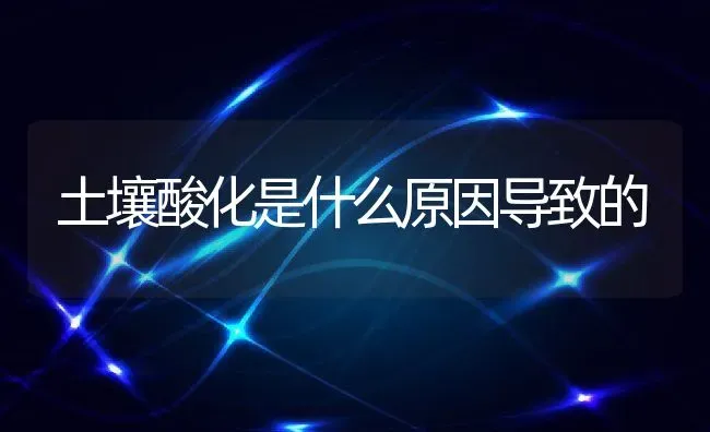 土壤酸化是什么原因导致的 | 养殖学堂