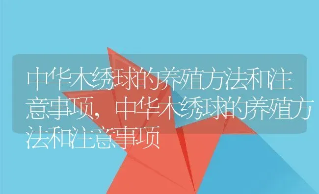 中华木绣球的养殖方法和注意事项,中华木绣球的养殖方法和注意事项 | 养殖科普