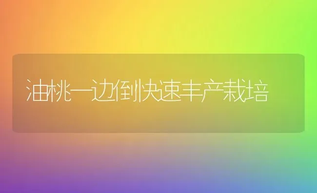 油桃一边倒快速丰产栽培 | 养殖知识
