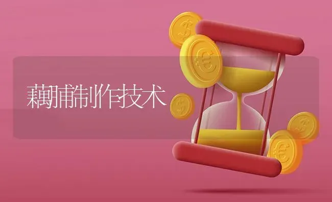 藕脯制作技术 | 养殖知识