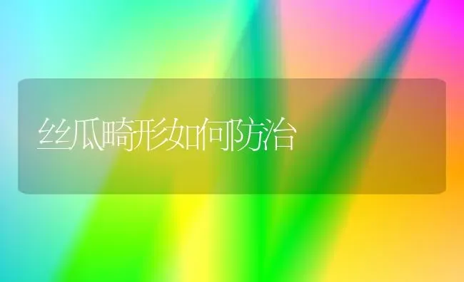 丝瓜畸形如何防治 | 养殖技术大全