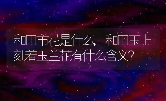 和田市花是什么,和田玉上刻着玉兰花有什么含义？ | 养殖科普