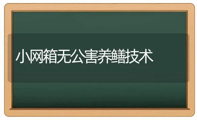 小网箱无公害养鳝技术 | 养殖技术大全