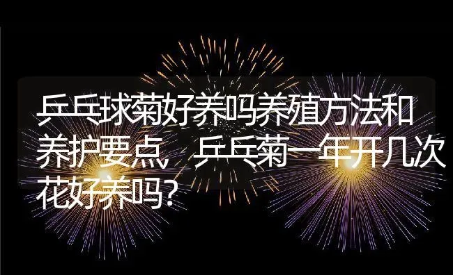 治眼睛流泪妙招,治疗眼睛流泪偏方大全 | 养殖资料