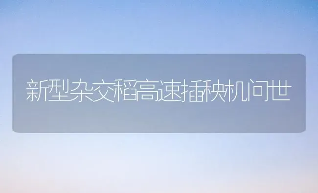 新型杂交稻高速插秧机问世 | 养殖技术大全