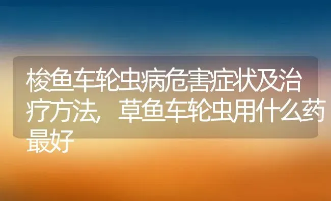 梭鱼车轮虫病危害症状及治疗方法,草鱼车轮虫用什么药最好 | 养殖学堂