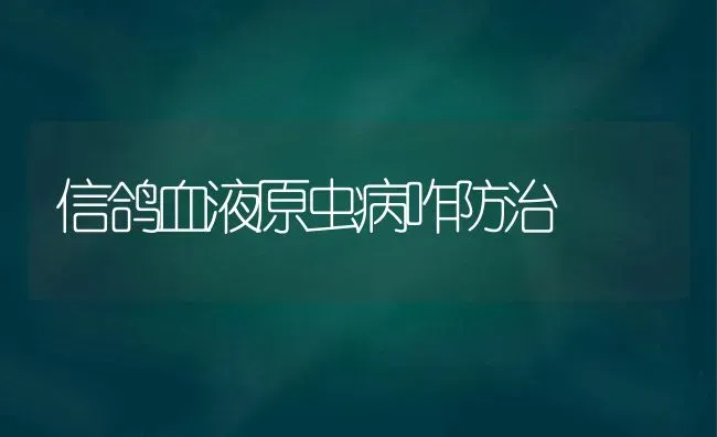 信鸽血液原虫病咋防治 | 养殖知识