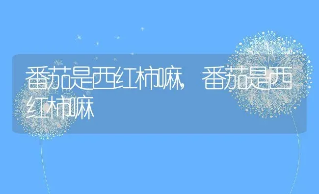 番茄是西红柿嘛,番茄是西红柿嘛 | 养殖科普