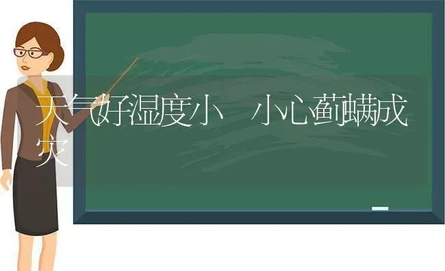 天气好湿度小 小心蓟螨成灾 | 养殖技术大全