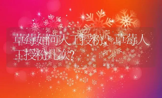 草莓如何人工授粉,草莓人工授粉几次？ | 养殖科普