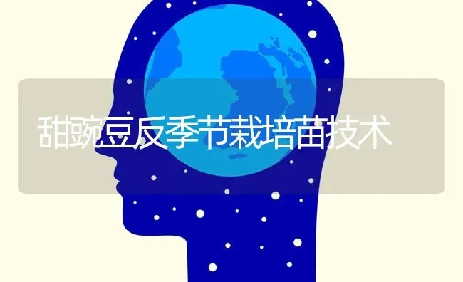 甜豌豆反季节栽培苗技术 | 养殖技术大全