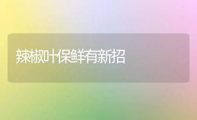 辣椒叶保鲜有新招 | 养殖知识