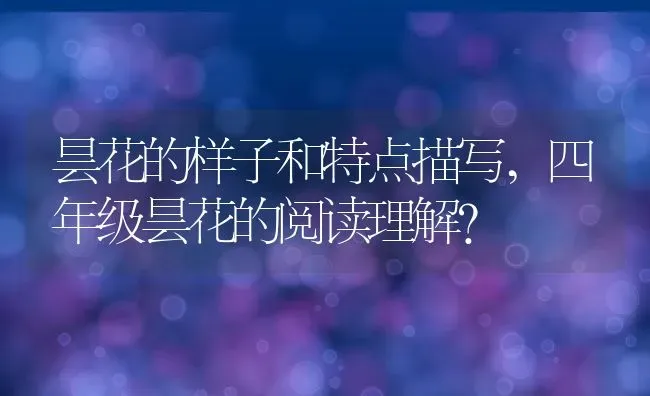 昙花的样子和特点描写,四年级昙花的阅读理解？ | 养殖科普