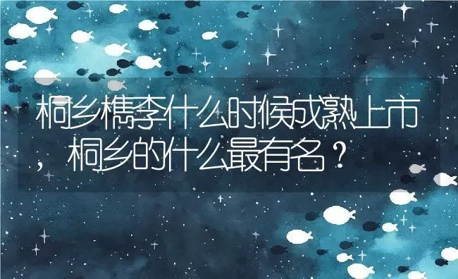 桐乡檇李什么时候成熟上市,桐乡的什么最有名？ | 养殖科普