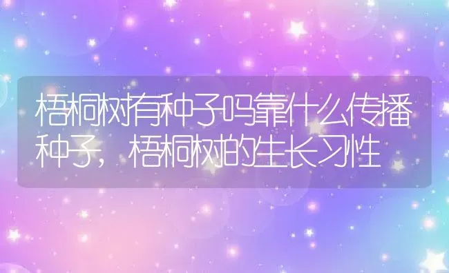 梧桐树有种子吗靠什么传播种子,梧桐树的生长习性 | 养殖学堂