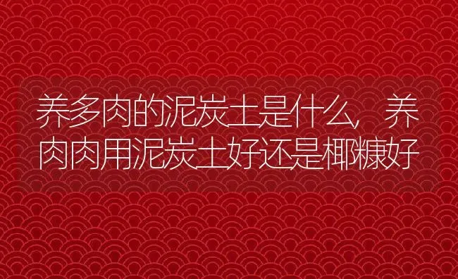 养多肉的泥炭土是什么,养肉肉用泥炭土好还是椰糠好 | 养殖学堂