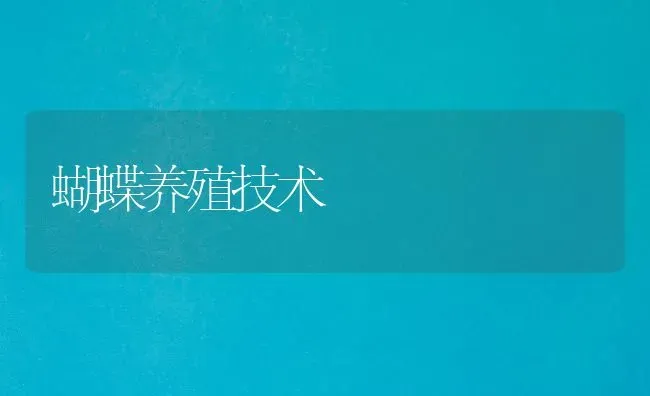 蝴蝶养殖技术 | 养殖知识