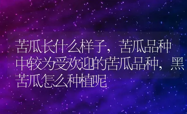 苦瓜长什么样子,苦瓜品种中较为受欢迎的苦瓜品种，黑苦瓜怎么种植呢 | 养殖学堂