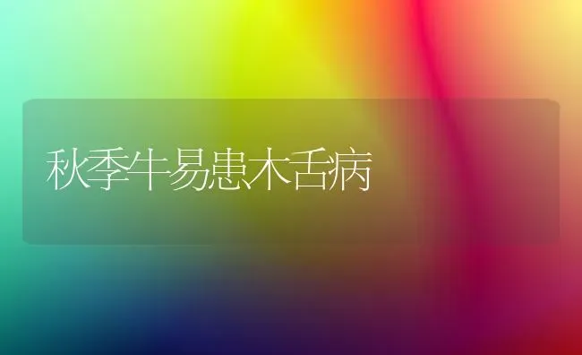 秋季牛易患木舌病 | 养殖知识