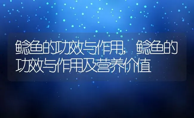 鲶鱼的功效与作用,鲶鱼的功效与作用及营养价值 | 养殖科普