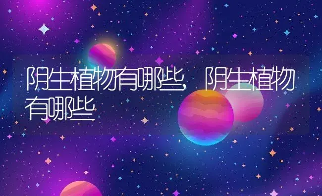 阴生植物有哪些,阴生植物有哪些 | 养殖科普