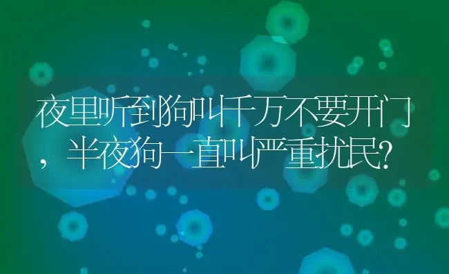 夜里听到狗叫千万不要开门,半夜狗一直叫严重扰民？ | 养殖科普
