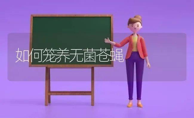 如何笼养无菌苍蝇 | 养殖技术大全