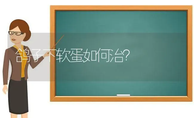 鸽子下软蛋如何治? | 养殖技术大全