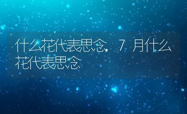 什么花代表思念,7月什么花代表思念 | 养殖学堂