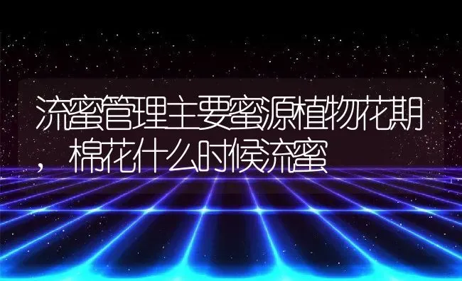 流蜜管理主要蜜源植物花期,棉花什么时候流蜜 | 养殖学堂