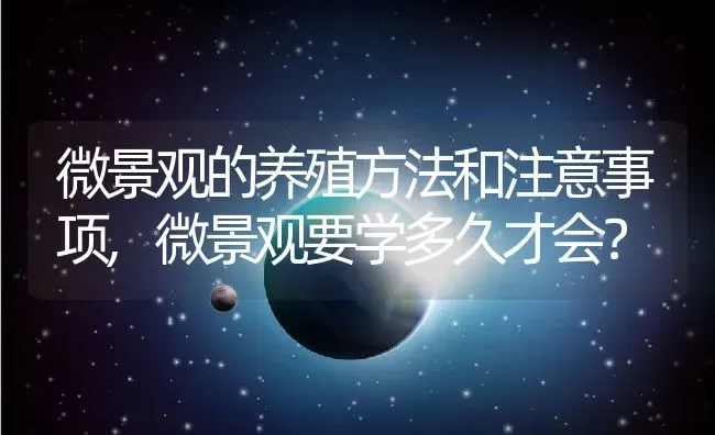 微景观的养殖方法和注意事项,微景观要学多久才会？ | 养殖科普