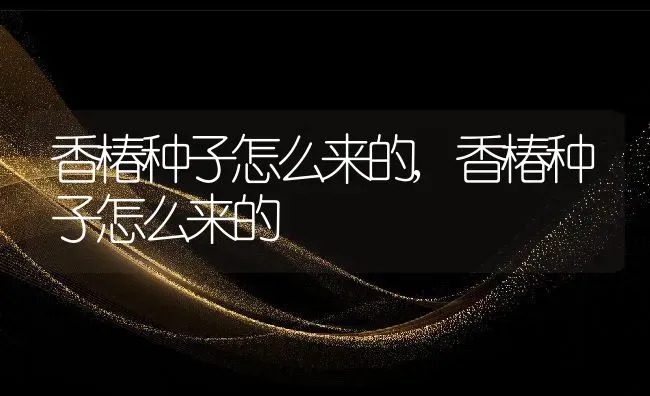 香椿种子怎么来的,香椿种子怎么来的 | 养殖科普